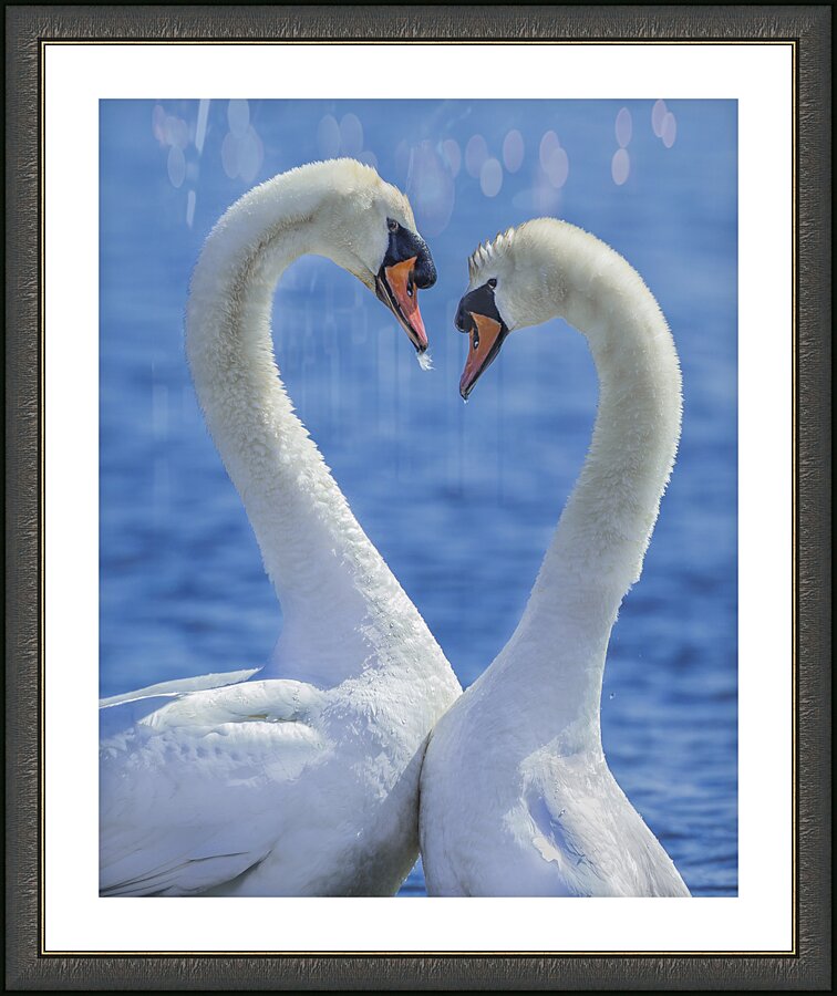 What do you mean get a room? Picture Frame print