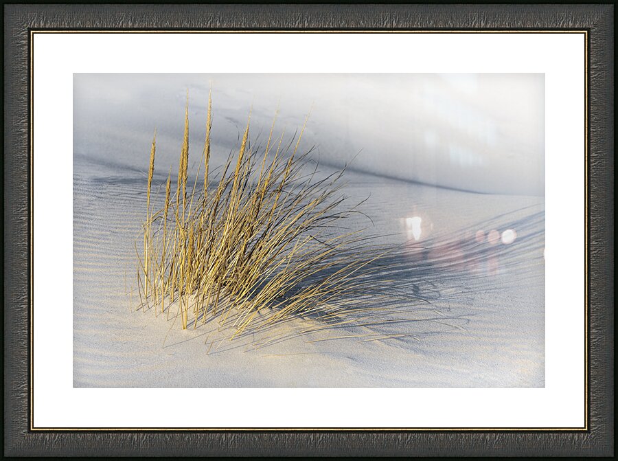 Survivor Picture Frame print