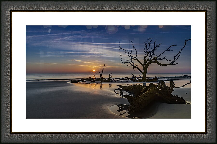 Tidepools & Trees Picture Frame print