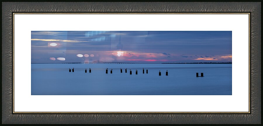 Settling In Picture Frame print