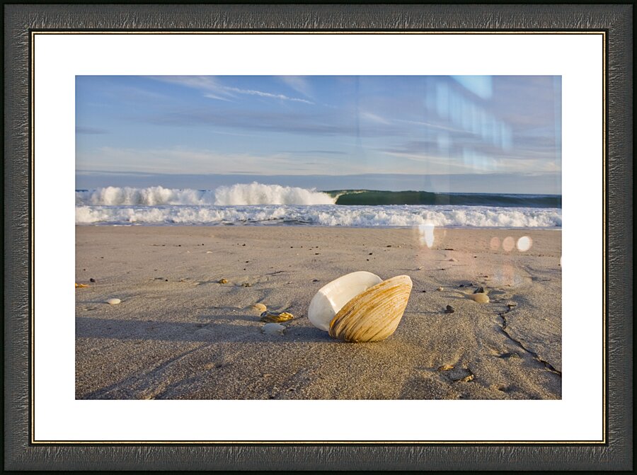 Washed Ashore Picture Frame print