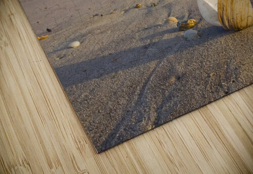 Washed Ashore RJLaBellaPhotos puzzle