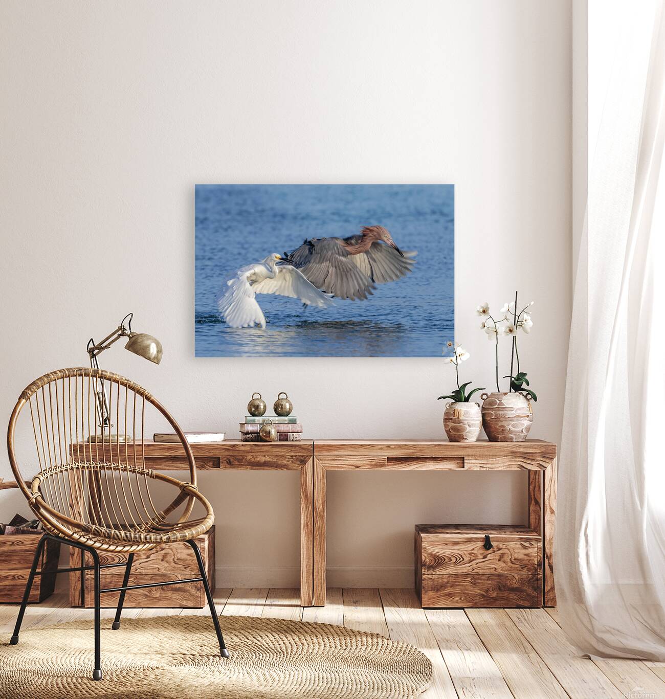 ..Set..Go! Reproduction