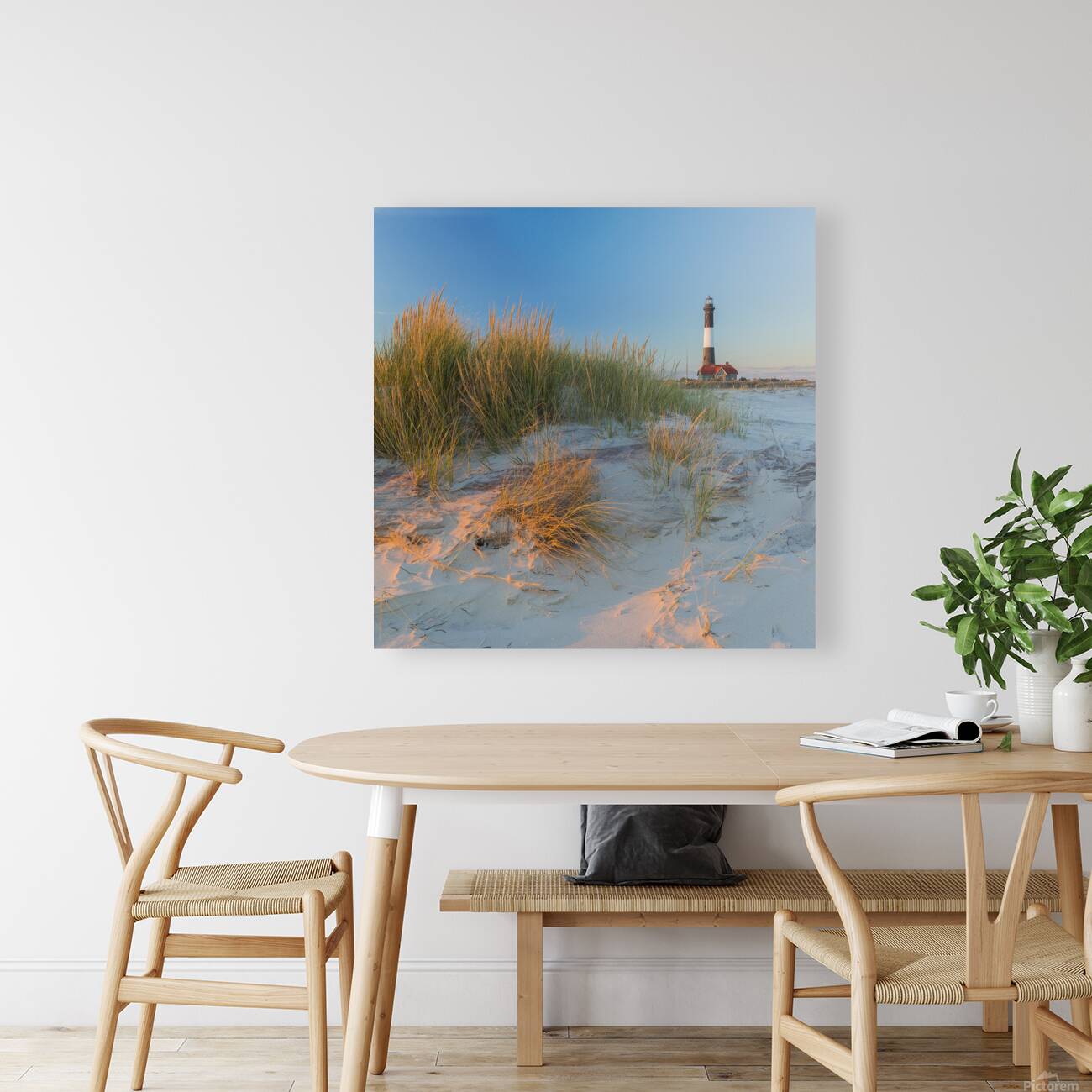 Golden Grass Blue Sky Reproduction