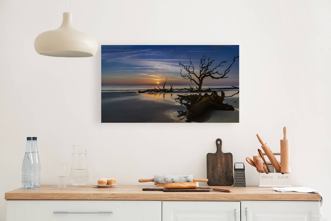 Tidepools & Trees Reproduction