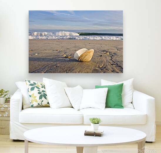 Washed Ashore Reproduction
