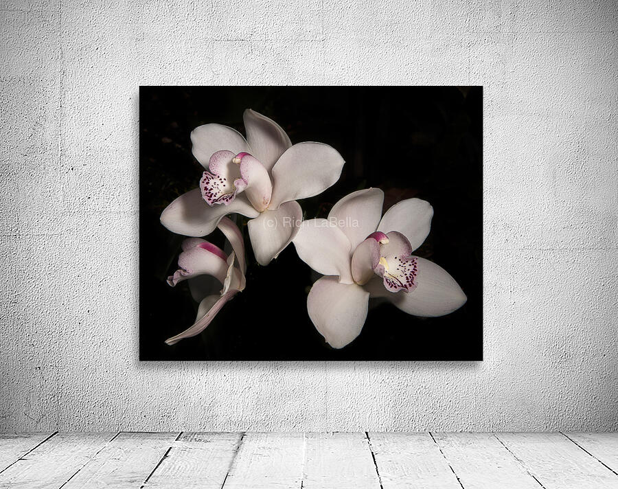 Orchid Trio Wall Preview