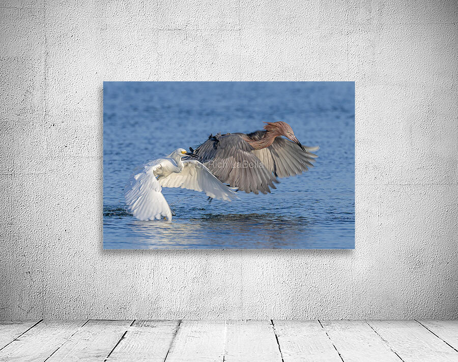 ..Set..Go! Wall Preview