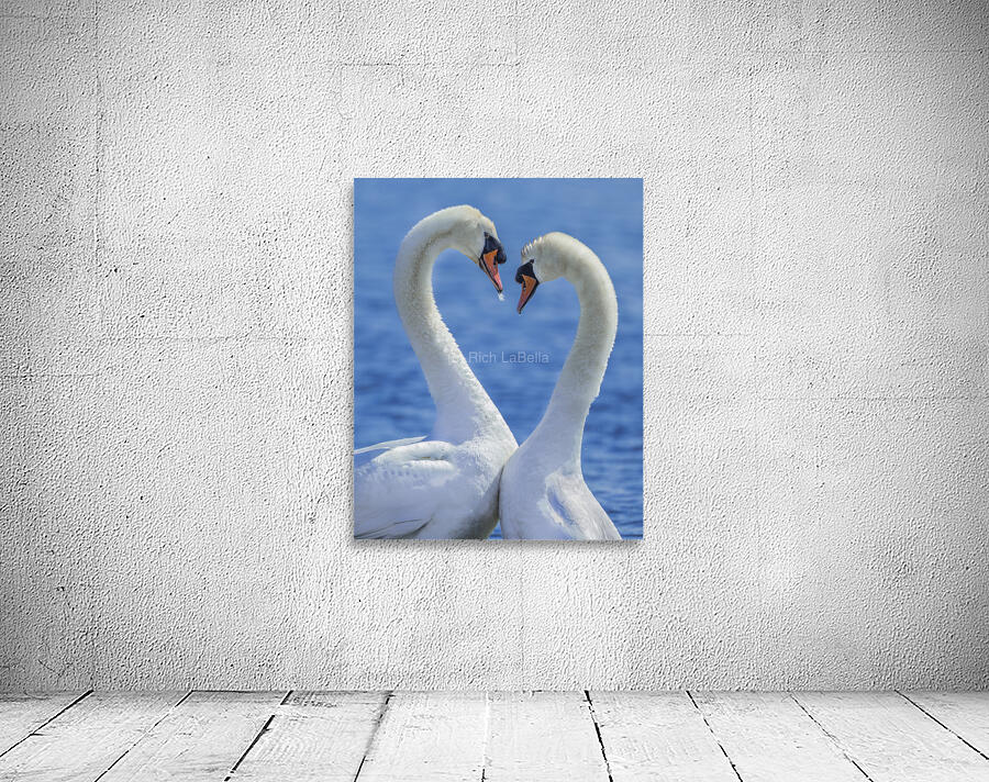 What do you mean get a room? Wall Preview