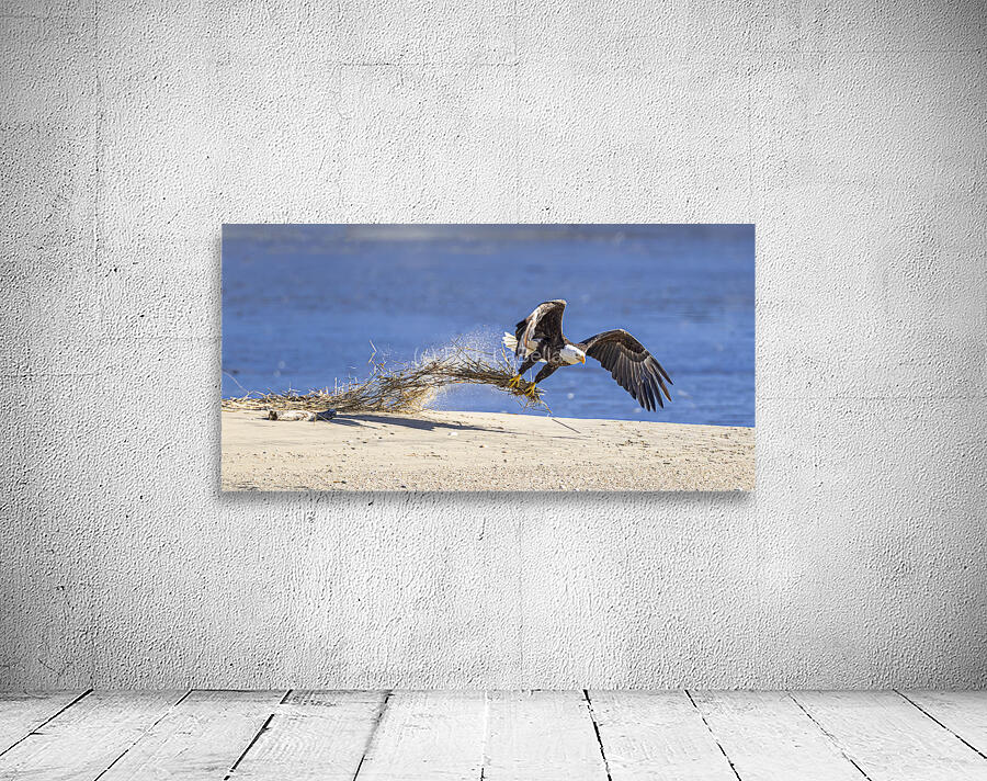 Adding to the Nest Wall Preview