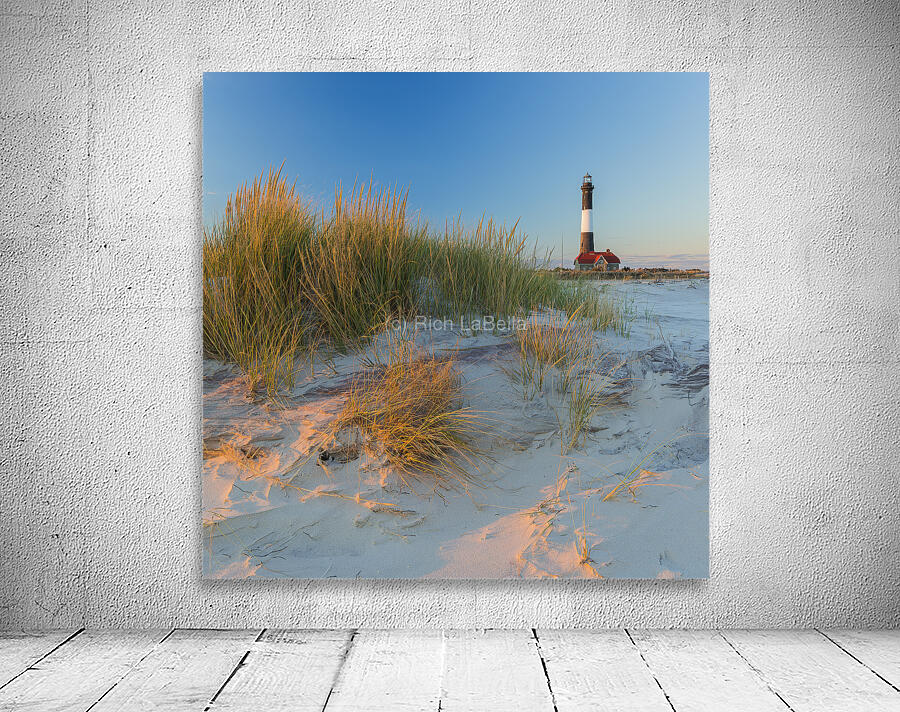 Golden Grass Blue Sky Wall Preview