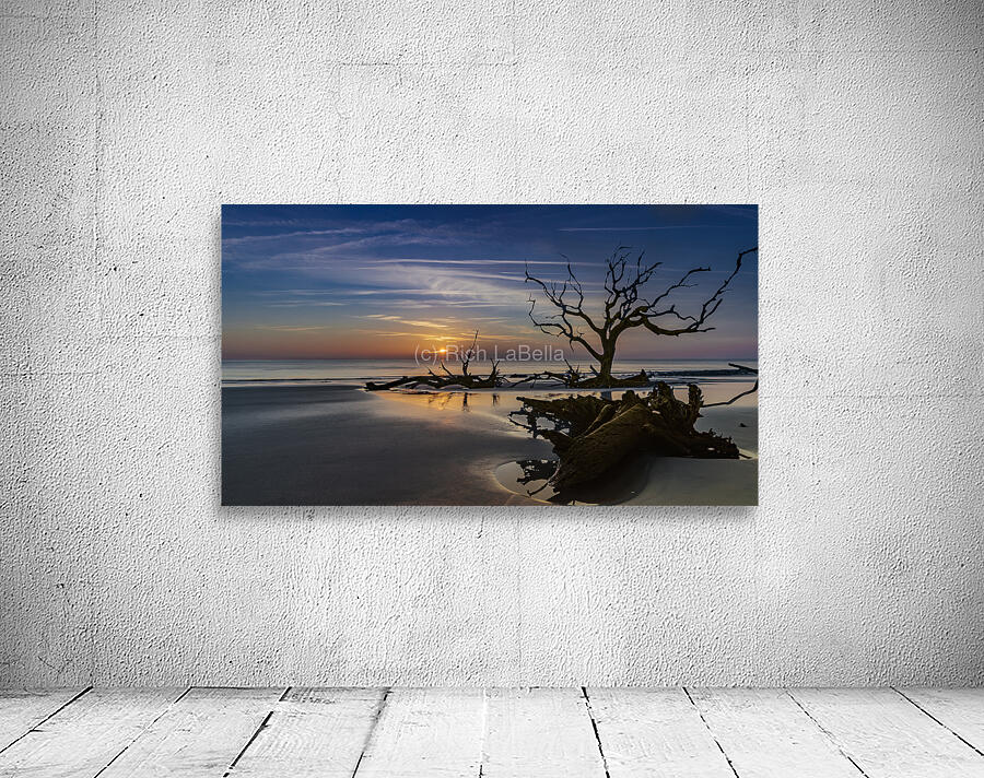 Tidepools & Trees Wall Preview