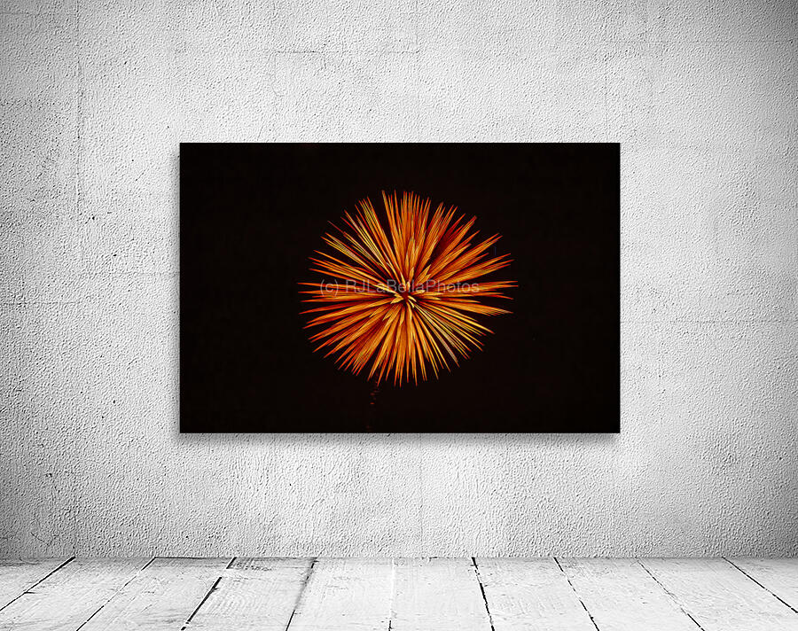 Starburst Wall Preview