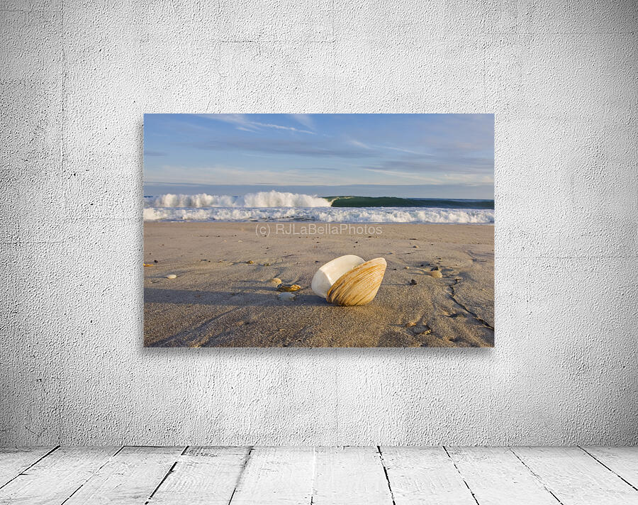 Washed Ashore Wall Preview
