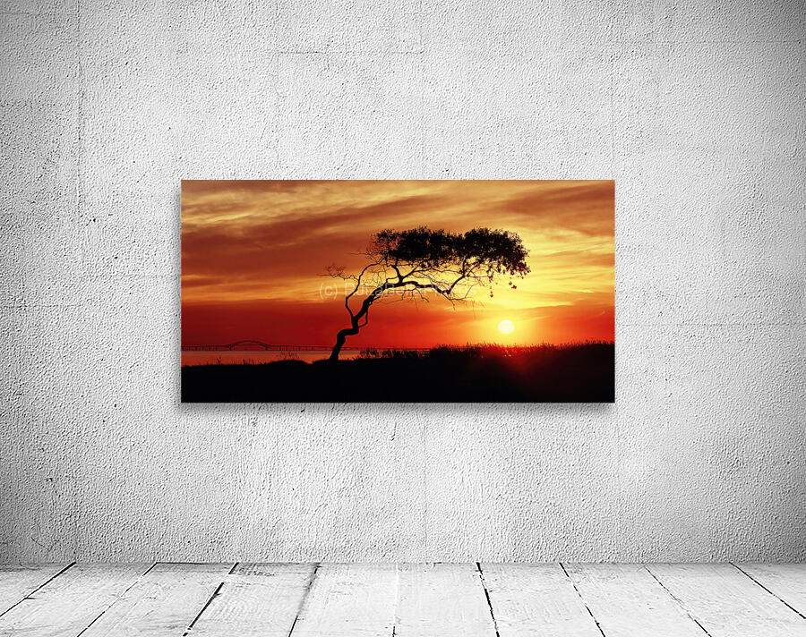 Heckscher Sunset Wall Preview