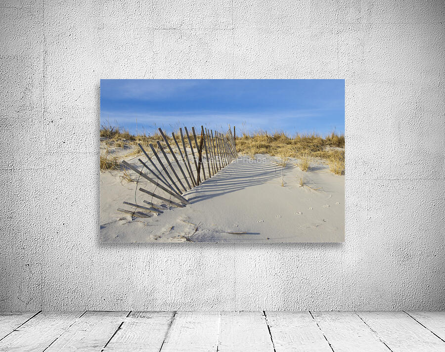 Protecting the Dunes Wall Preview