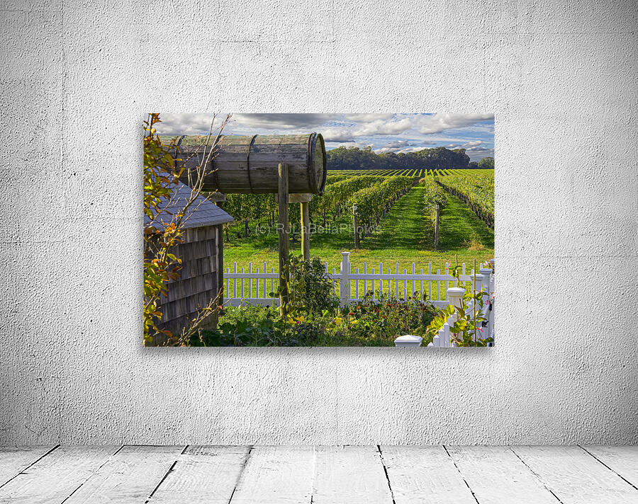 Vineyard View Wall Preview