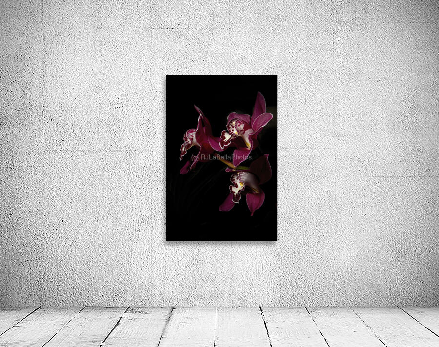 Orchid Trio Wall Preview