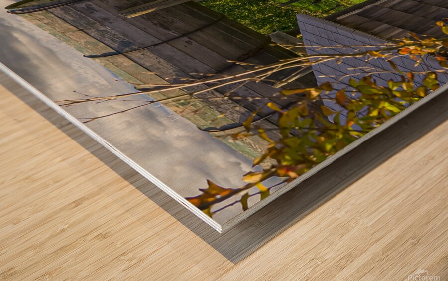 Vineyard View Wood print