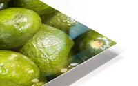 avocado filled frame HD Metal print