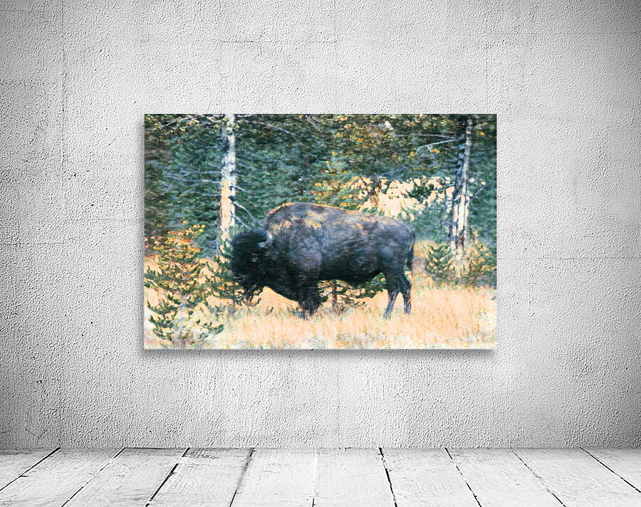 buffalo art 01a Wall Preview