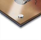 Northern Hawk Owl Impression Acrylique