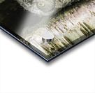 Western Screech Owlet Acrylic print