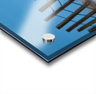 Snowy Owl Acrylic print