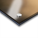 Northern Pygmy Owl Acrylic print