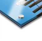 Snowy Owl Acrylic print