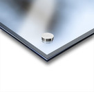 Northern Pygmy Owl Acrylic print