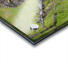 Great Gray Owl Acrylic print