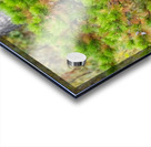 Black Bear Acrylic print