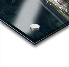 Grizzly Sow Impression Acrylique