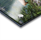 Bull Elk Acrylic print