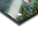 Bull Elk Acrylic print