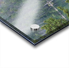 Bull Elk Acrylic print