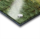 Bull Elk Acrylic print