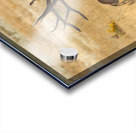 Bull Elk Acrylic print