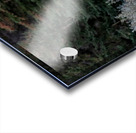 Bull Elk Acrylic print