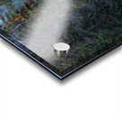 Bull Elk Acrylic print