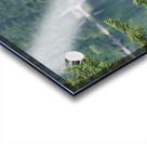 Bull Elk Acrylic print