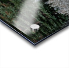 Bull Elk Acrylic print