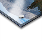 Bull Elk Acrylic print