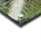 Bull Elk Acrylic print