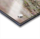 Red Fox Kit Impression Acrylique