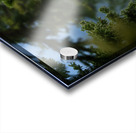 Mountain Goat Acrylic print