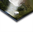 Mountain Goat Acrylic print