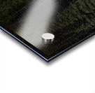 Bull Moose Acrylic print