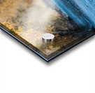 Bull Moose Acrylic print